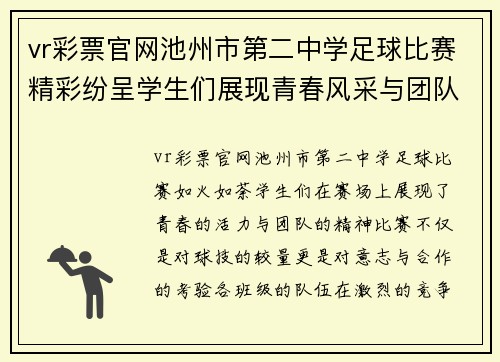 vr彩票官网池州市第二中学足球比赛精彩纷呈学生们展现青春风采与团队精神